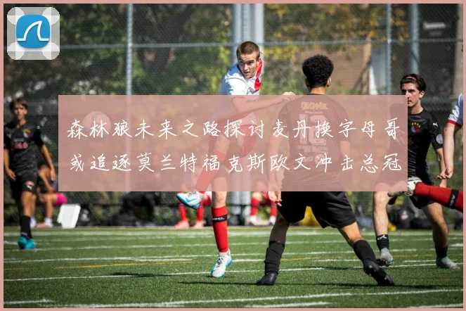 森林狼未来之路探讨麦丹换字母哥或追逐莫兰特福克斯欧文冲击总冠军